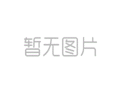 哪个猫游戏更好？猫游戏